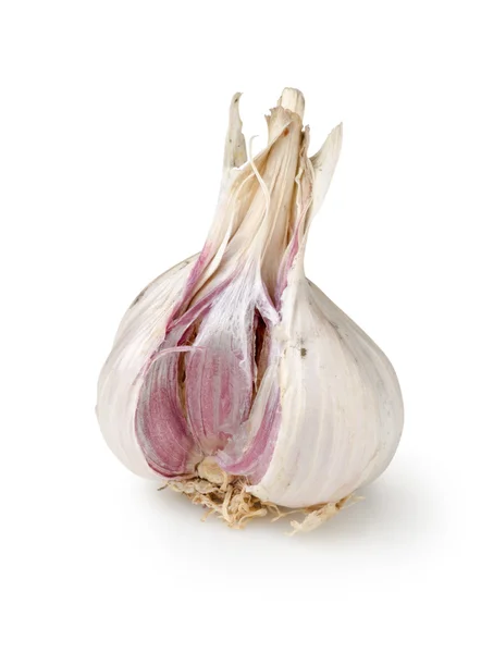 Garlic isolated on a white — Stock Photo, Image