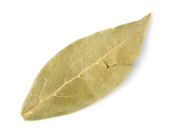 Sušený bobkový list — Stock fotografie
