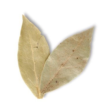 Two bay leaves clipart