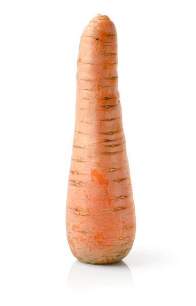 Čerstvá mrkev, samostatný — Stock fotografie