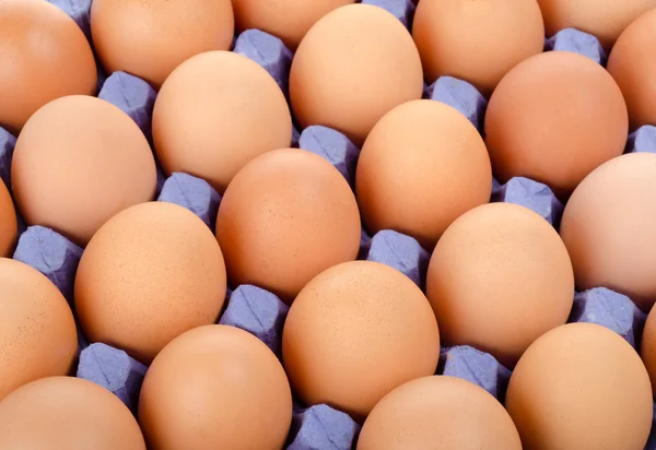 Bricka med ägg i kartong förpackning — Stockfoto