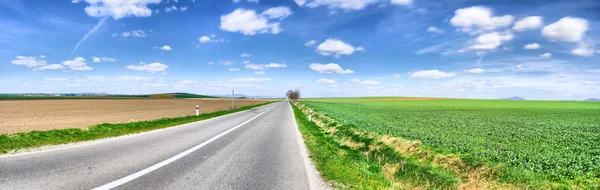 Road panorama, spring — Stock Photo, Image