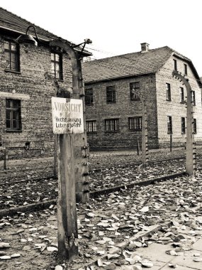 Picture from Auschwitz alert clipart