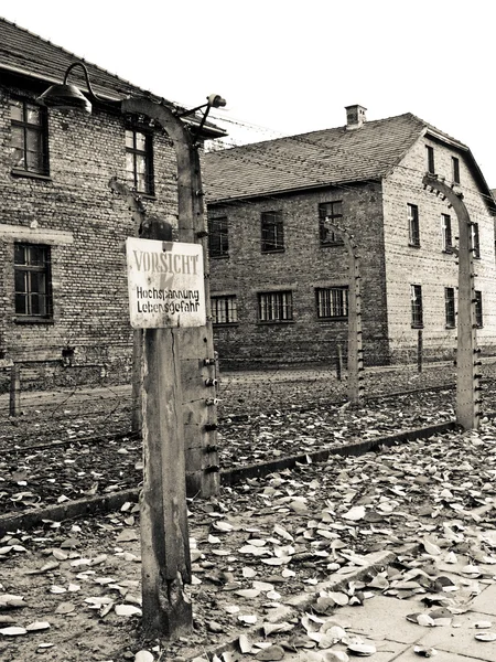 Auschwitz uyarısından resim — Stok fotoğraf