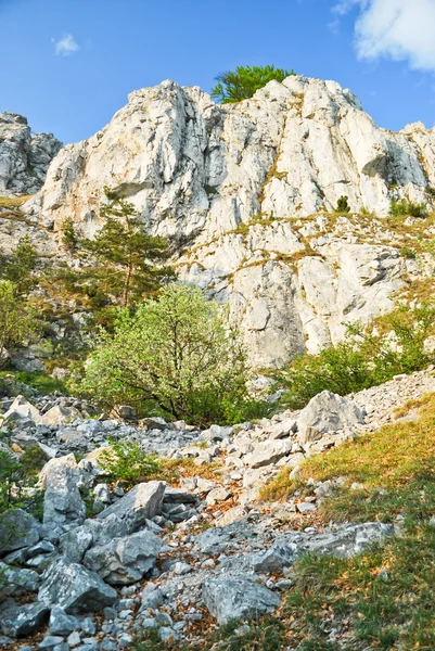 Kayalık tepe — Stok fotoğraf