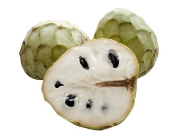 Cherimoya clipart