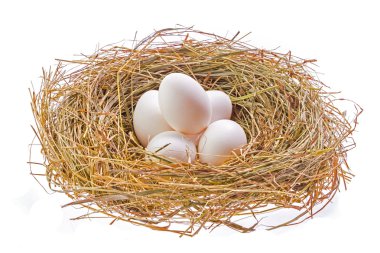 Nest with Easter eggs clipart