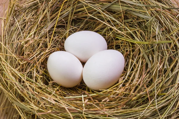 Paskalya yumurtaları ile iç içe geçirme — Stok fotoğraf