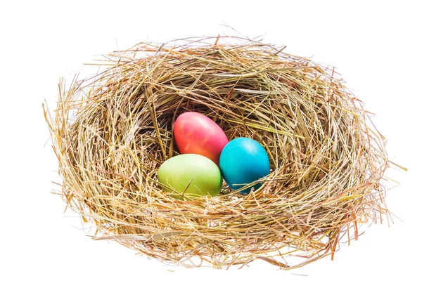 Nest mit Ostereiern — Stockfoto