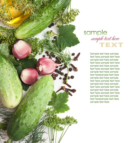 Beitsen komkommers en specerijen — Stockfoto