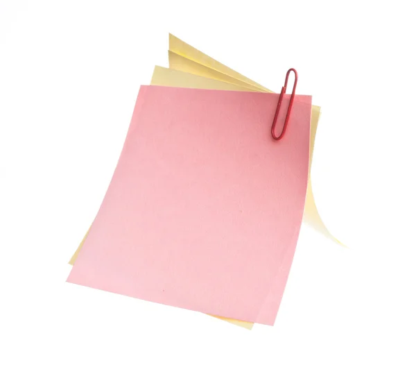 Folhas de grampos de papel agrafado — Fotografia de Stock
