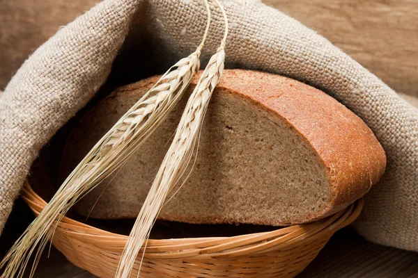 Chléb a uši — Stock fotografie