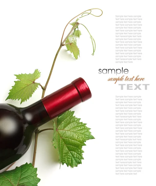 Fles wijn — Stockfoto