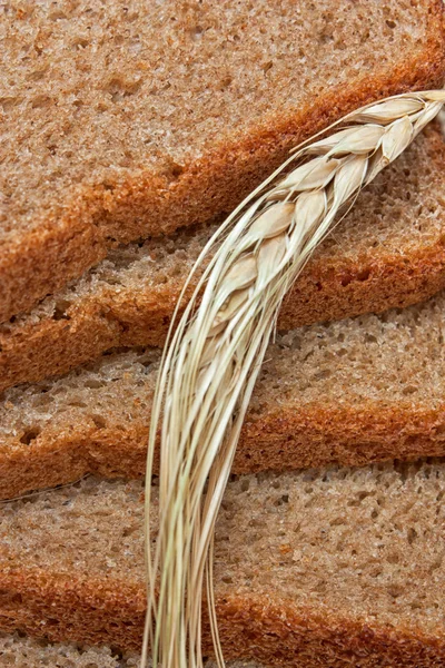 Ekmek ve kulaklar — Stok fotoğraf