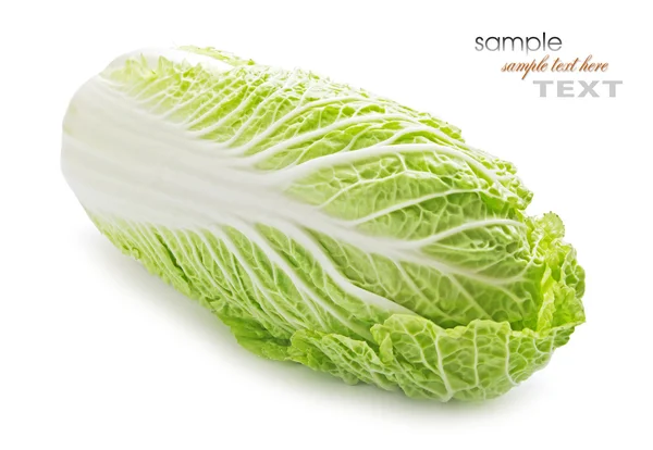 Fresh raw lettuce and herbs — Stock Photo, Image