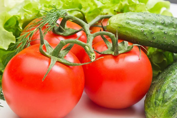 Tomato and vegetables — Stock Photo, Image