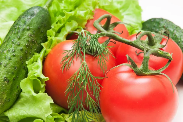 토마토와 야채 — 스톡 사진