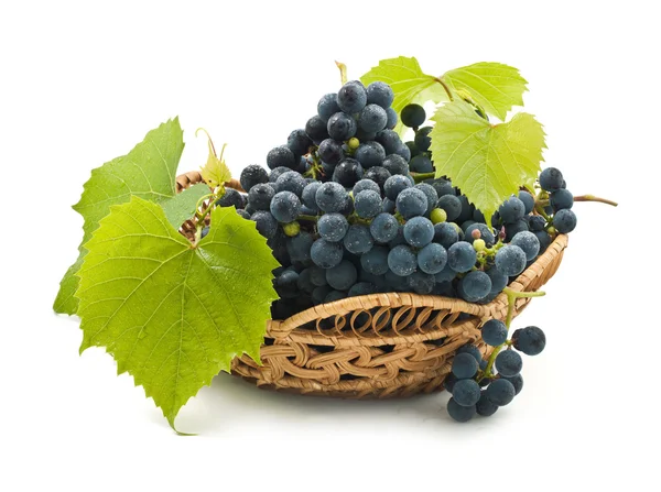 Bunch of grapes with green leaves in basket — Stock Photo, Image