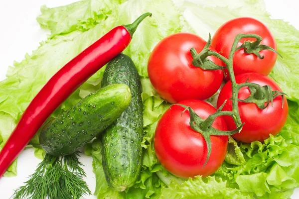 Rajčat a zeleniny — Stock fotografie