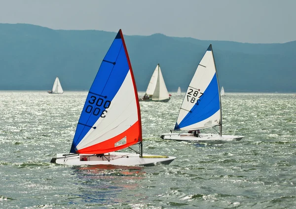 O iate participa em competições na vela — Fotografia de Stock