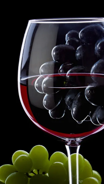 Grape red wine — Stock Photo, Image