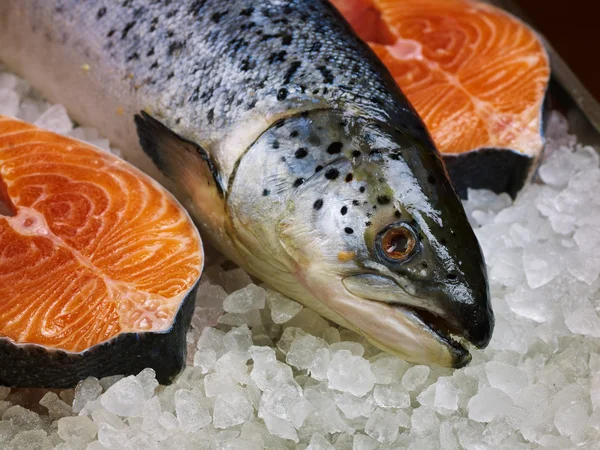 Frischer Lachs — Stockfoto