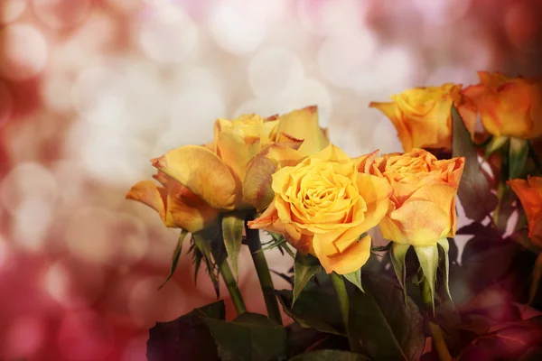 Roses on light background — Stock Photo, Image