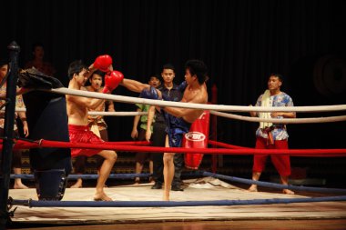 Thai boxing clipart