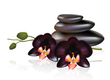 Pebbles with black orchids. Spa composition. clipart