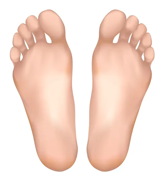 Healthy feet. — Stock Vector