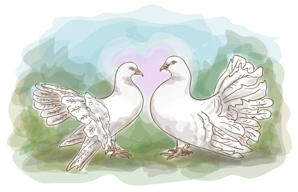 Пара голубей. — стоковый вектор