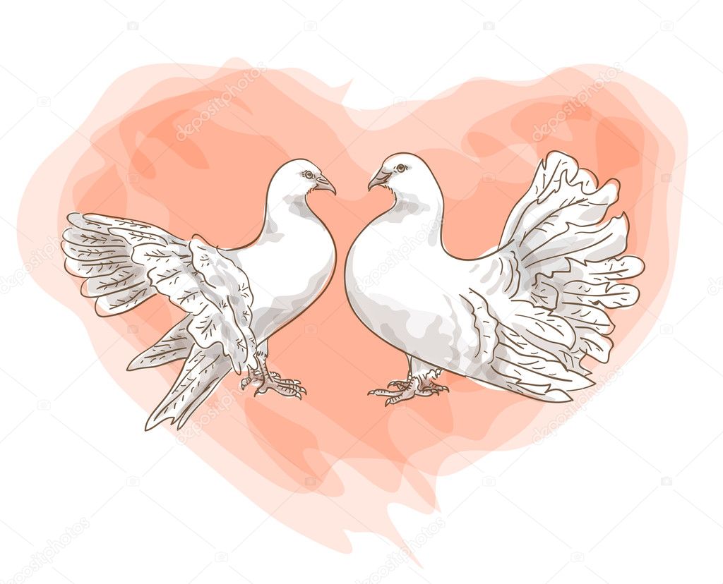 Couple doves with symbol of love - red heart.