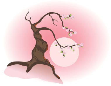 Flowering bonsai and the morning sun. clipart