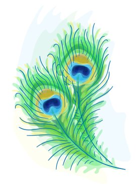 Feather of a peacock. Watercolor style. clipart