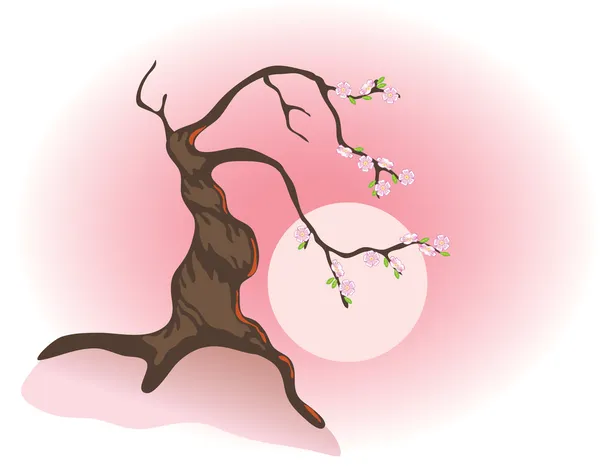 Kwitnienia bonsai i rano słońce. — Wektor stockowy