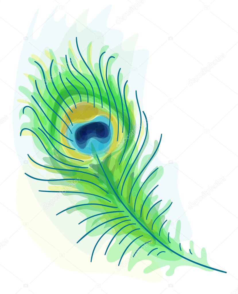 Feather of a peacock. Watercolor style.