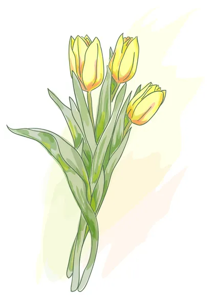 Strauß gelber Tulpen. Aquarellstil. — Stockvektor