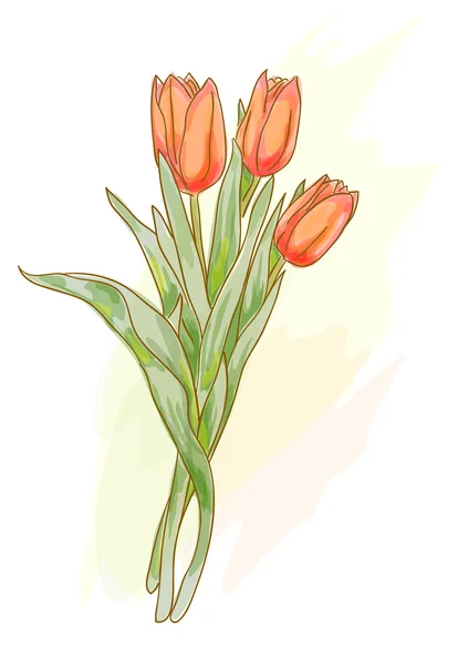 Bouquet of red tulips. Watercolor style. — Stock Vector