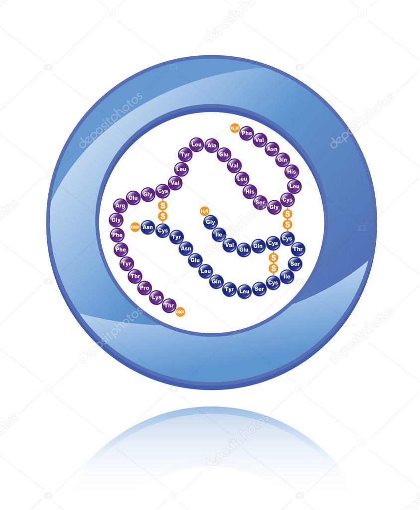 Human Insulin molecule inside a blue circle