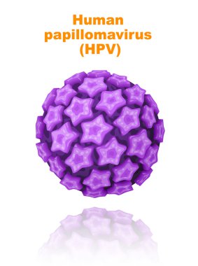 Human papillomavirus (HPV). clipart