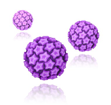 Human papillomavirus (HPV) clipart