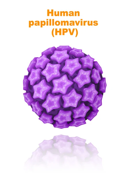 Lidský papillomavirus (hpv). — Stockový vektor