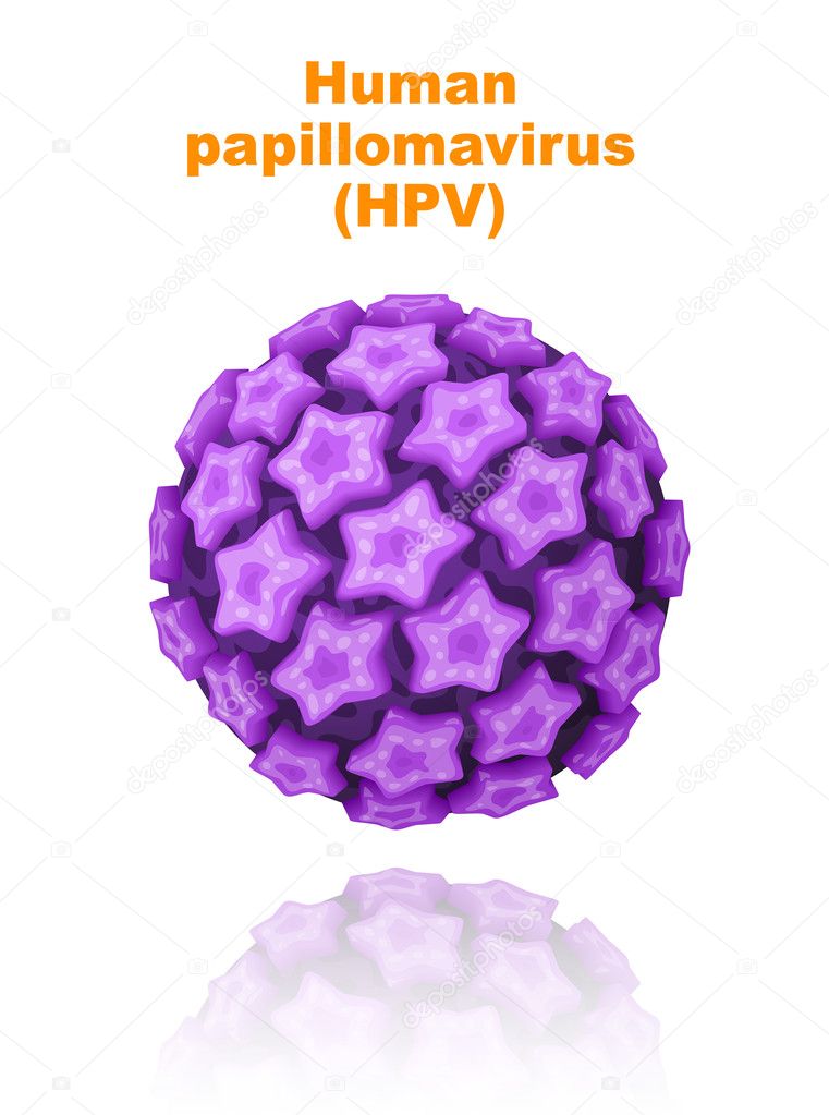 Human papillomavirus (HPV).