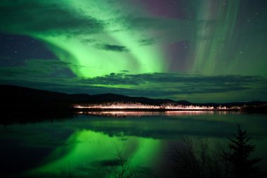 Stars and Northern Lights over dark Road at Lake clipart