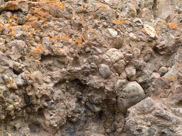 Conglomerate of sedimentary deposit plus lichens — Stock Photo, Image