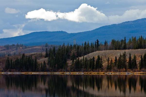 Hochspannungsleitung am ruhigen Yukon-See im Spätherbst, Kanada — Stockfoto