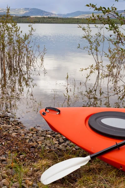 Kayak and paddle in willow bushes alongside a lake — Stock Photo, Image