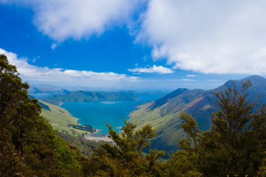 Anakoha Bay of Marlborough Sounds, New Zealand clipart