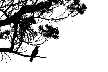 Silhouette of singing Common Blackbird in a tree clipart