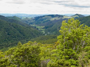 Tararua Range on North Island of New Zealand clipart